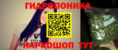 спайс Кингисепп