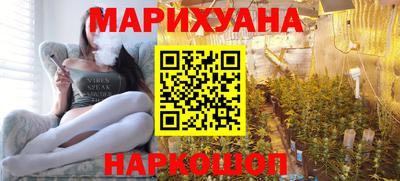 спайс Кингисепп