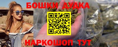спайс Кингисепп