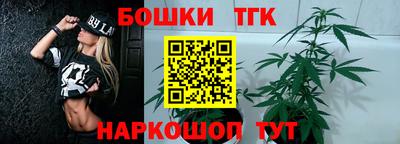 спайс Кингисепп