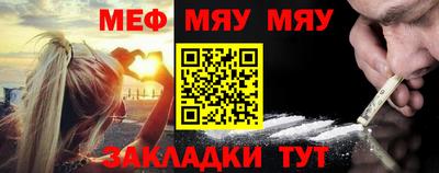 спайс Кингисепп
