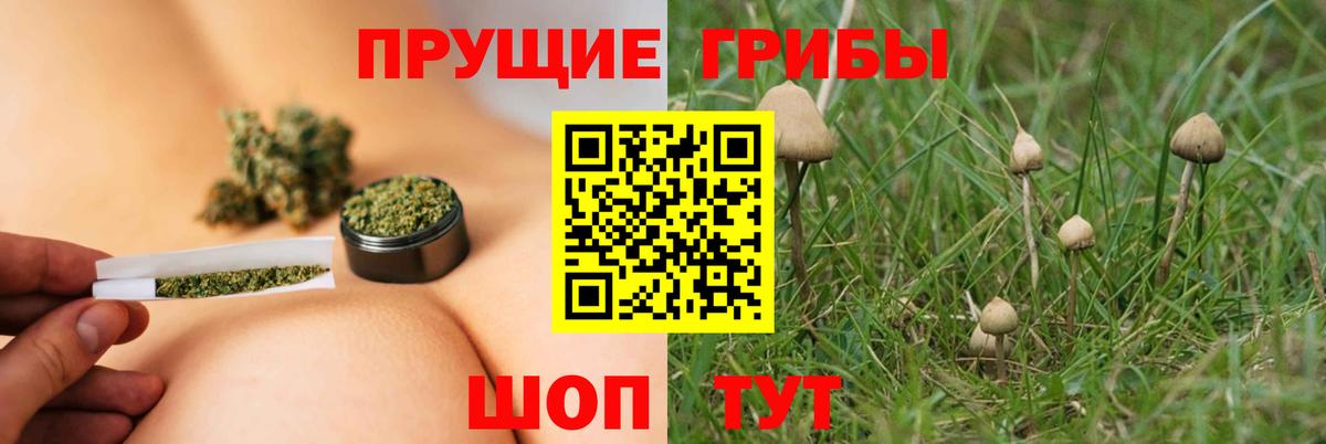 Комсомольск-на-Амуре  Галлюциногенные грибы ЛСД  Вход с VPN  Галлюциногенные грибы GOLDEN TEACHER 